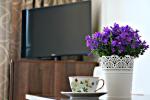 Vila Uosis - przytulne, nowoczesne apartamenty wakacyjne - 3