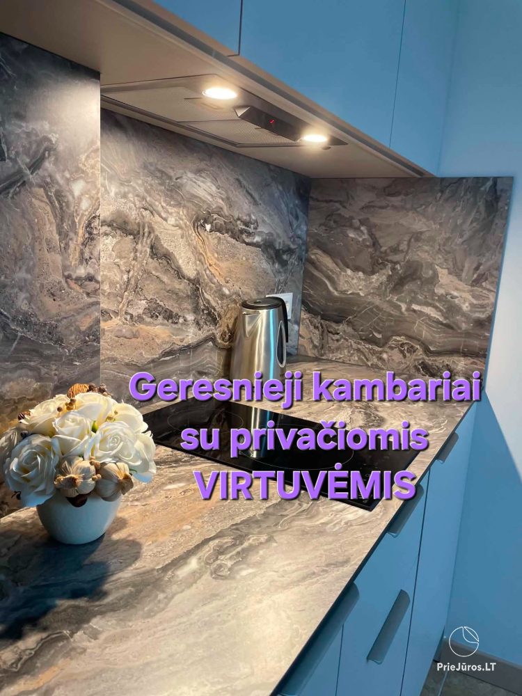 Vila Uosis - przytulne, nowoczesne apartamenty wakacyjne - 1