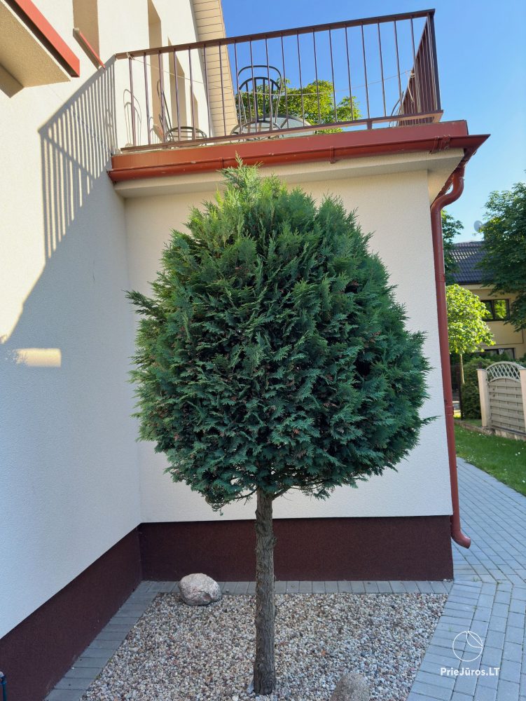 Zachęcamy odpocząć w Połądze, w „Baltas namas”, ul. Vaineikio 9.