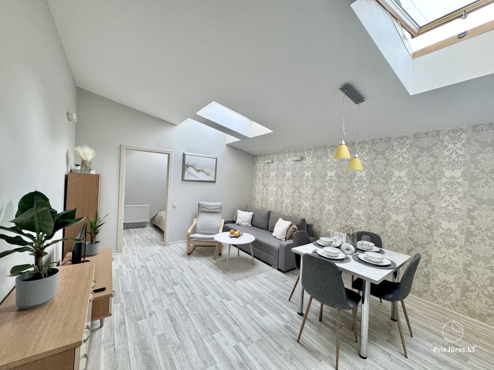 Dwupokojowe apartamenty-mieszkania do wynajęcia w centrum Połągi - 1