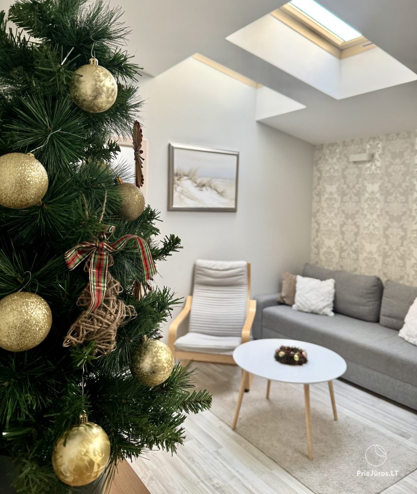 Dwupokojowe apartamenty-mieszkania do wynajęcia w centrum Połągi