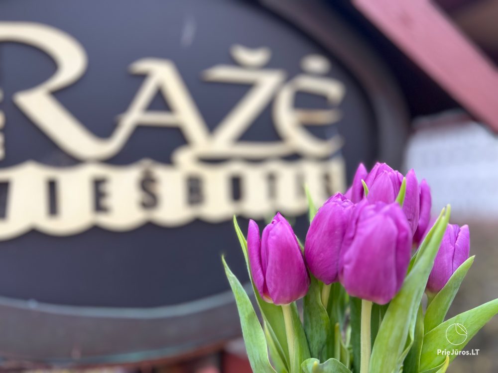 Hotel „Rąžė” w Połądze***