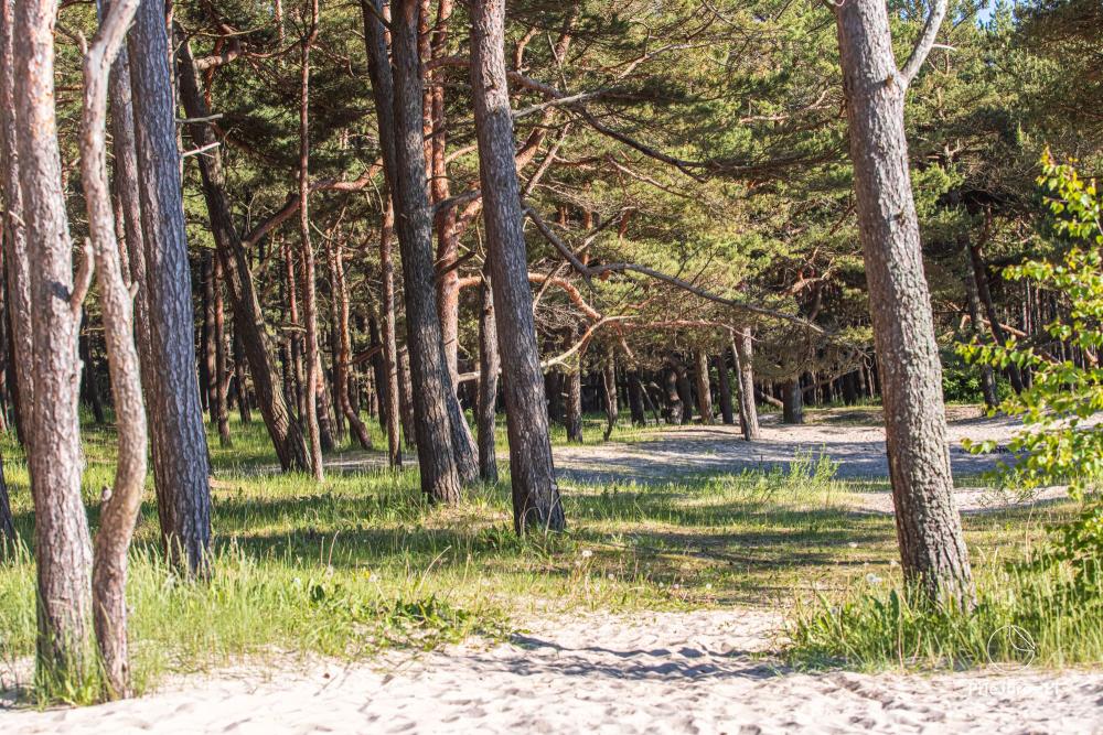 Wypoczynek w Kunigiškiai (ul. Žilvičių nr 5). Przestronne apartamenty na wygodny pobyt!