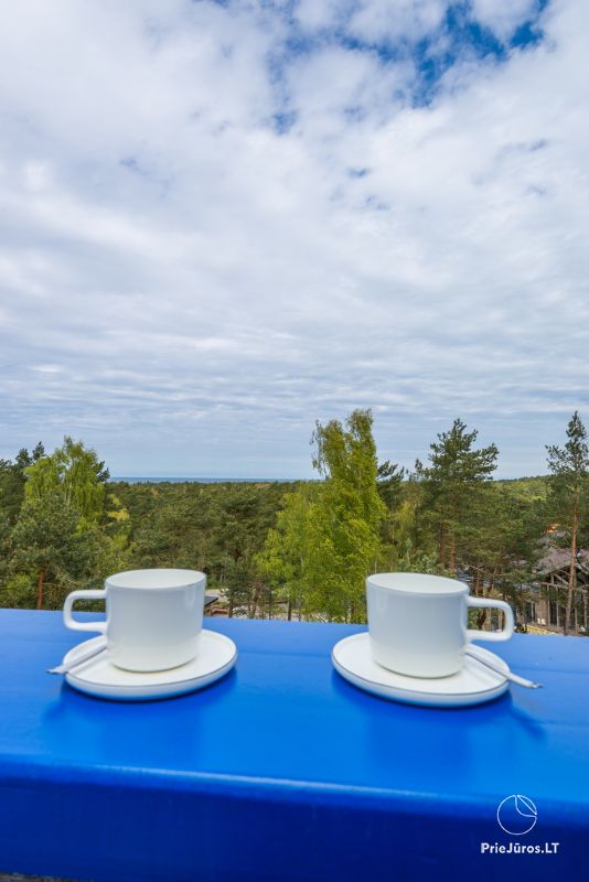 Pokoje i mieszkania (apartamenty) do wynajęcia w Nidzie NIDOS RŪTA