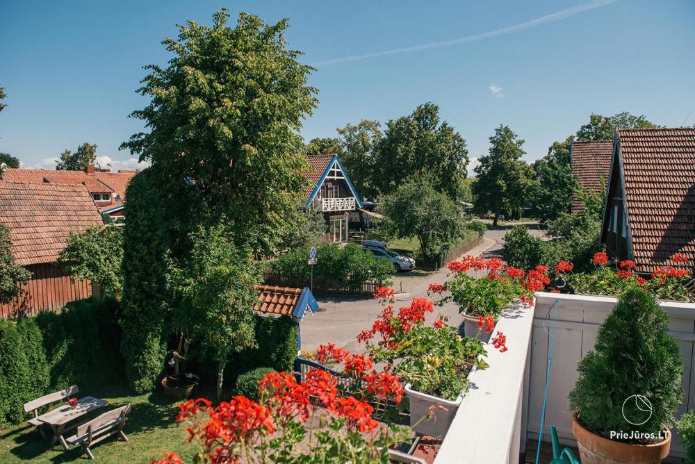 Willa „Miško namas” w Nidzie. Wynajem apartamentów