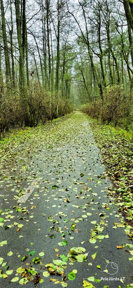 Nowe apartamenty „Ežiukų rojus” w Preila i wynajem oddzielnych pokoi w domku