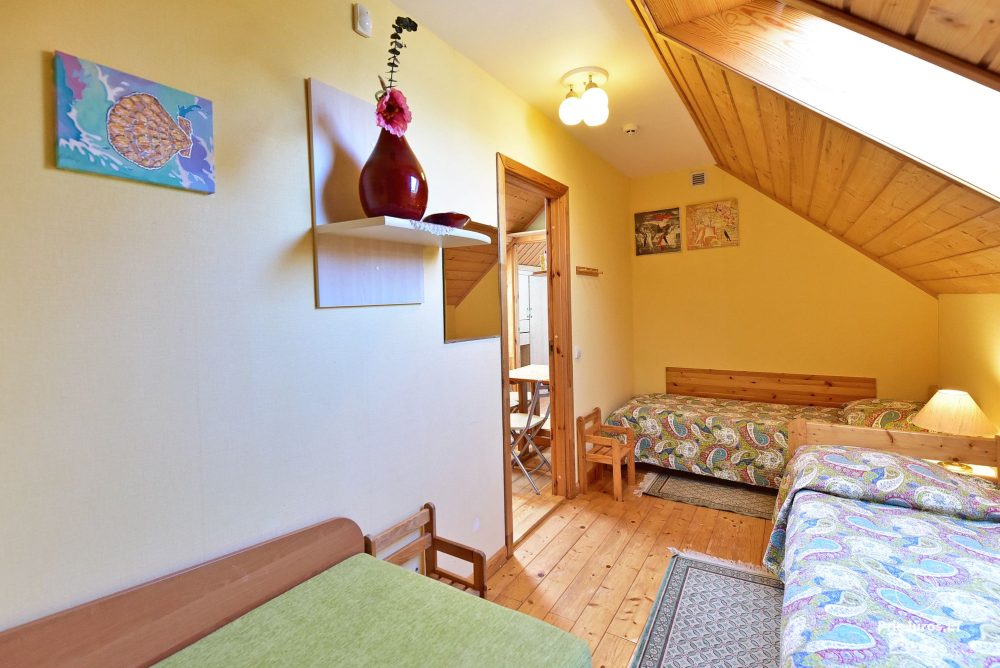 Czteroosobowe (2-pokojowe) apartamenty (2+2) na pierwszym piętrze „Miód“