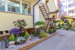 Apartamenty i pokoje do wynajęcia w Połądze, centrum miasta