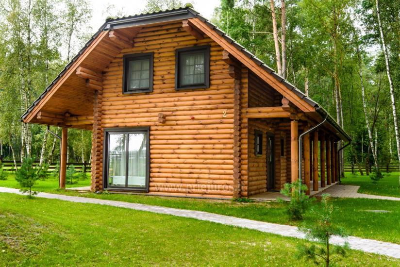 Wille drewniane do wynajęcia w Połądze - Atostogu parkas - 1