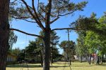 Vilnelė  Kompleks rekreacyjny: domki letniskowe, apartamenty, pokoje do wynajęcia blisko morza - 5