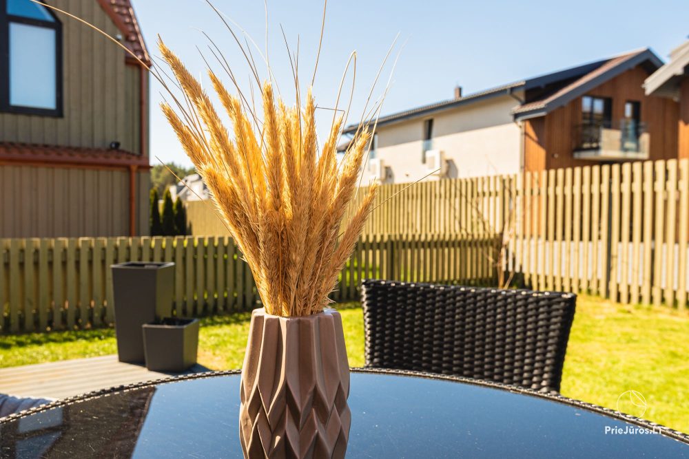 Apartamenty Zalia kopa położone 300 metrów od piaszczystej plaży