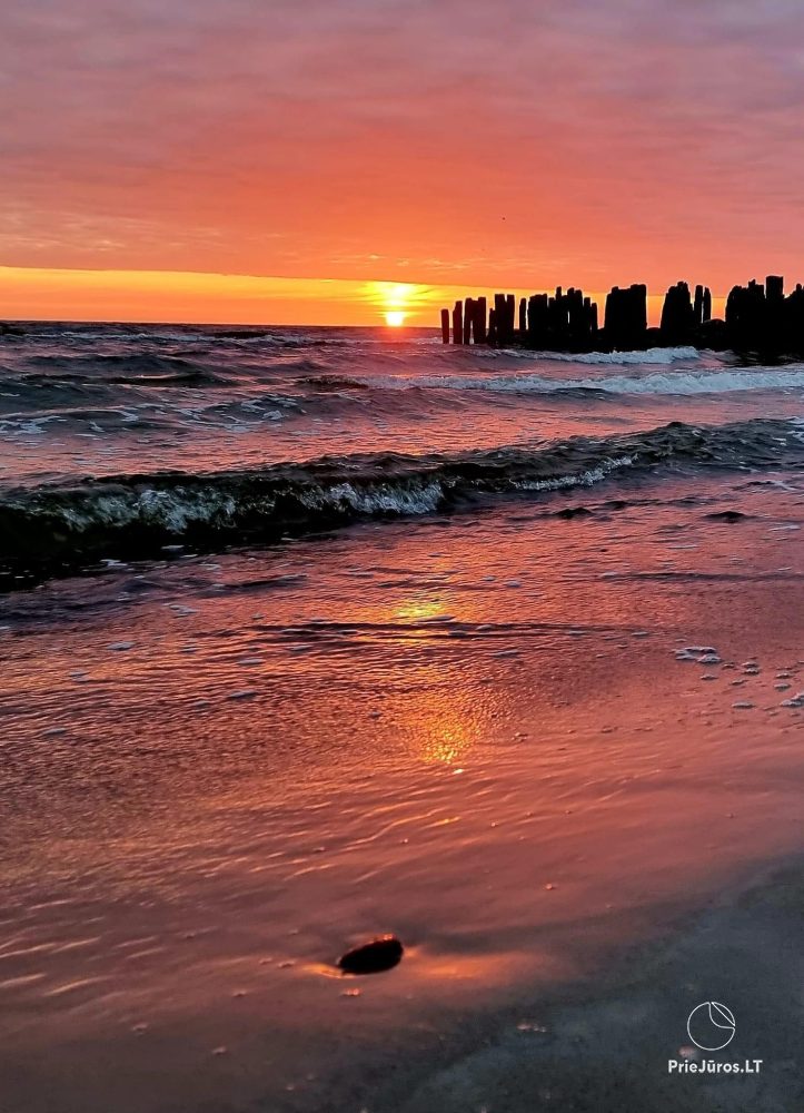 Apartamenty Zalia kopa położone 300 metrów od piaszczystej plaży