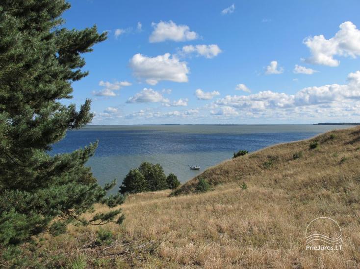 Apartament w Nidzie, 7 km od morza, z tarasem w sosnowym lesie - 1