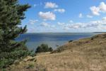 Apartament w Nidzie, 7 km od morza, z tarasem w sosnowym lesie