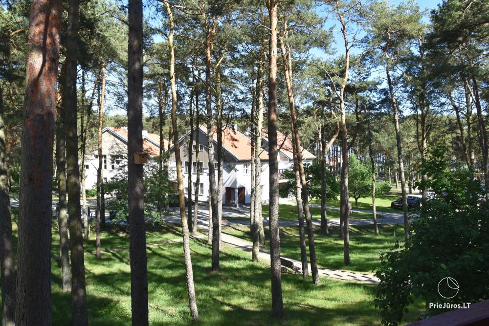 Apartament Pas Gintara w Nidzie, Mierzeja Kurońska, Litwa