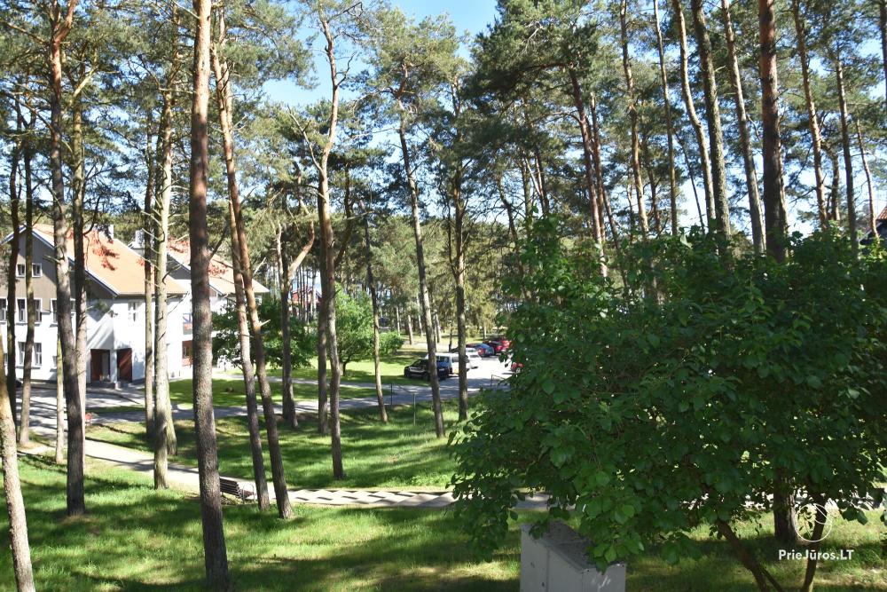 Apartament Pas Gintara w Nidzie, Mierzeja Kurońska, Litwa