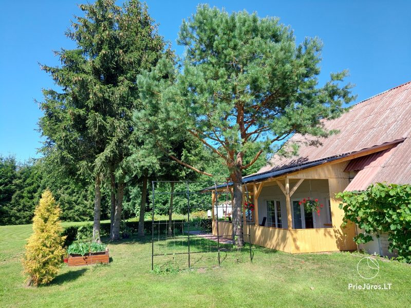 Przestronny apartament w Kintai