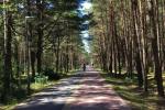 Dwa pokoje płaskie z tarasem do wynajęcia w Połądze