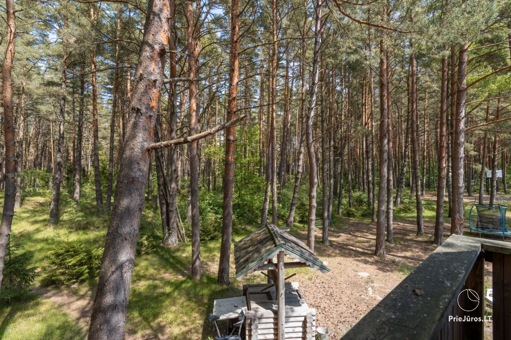 Domki w sosnowym lesie w Połądze, nad morzem i apartamenty w „Malūno vilos”