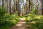 Domki w sosnowym lesie w Połądze, nad morzem i apartamenty w „Malūno vilos”