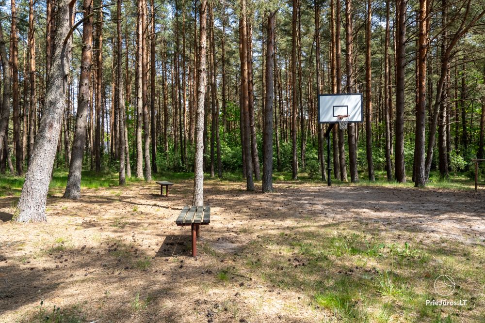 Domki w sosnowym lesie w Połądze, nad morzem i apartamenty w „Malūno vilos”