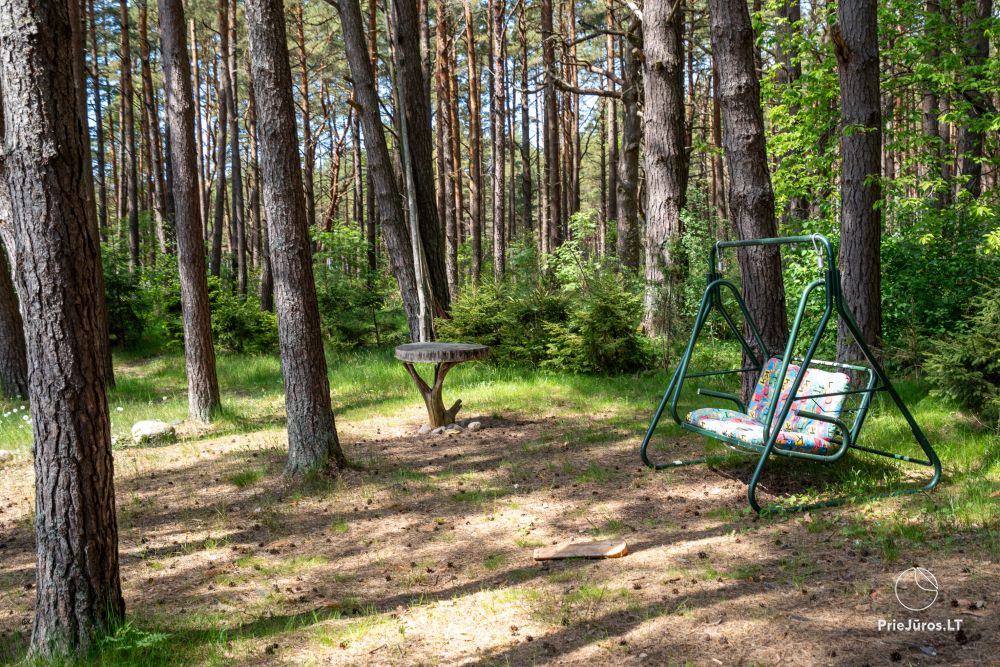 Domki w sosnowym lesie w Połądze, nad morzem i apartamenty w „Malūno vilos”