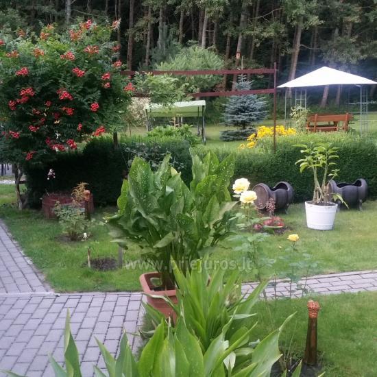 Agroturystyka w Vente Šturmų sodyba