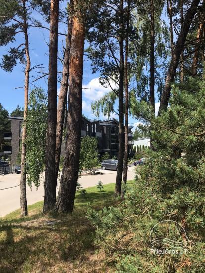 Stylowe, nowe 2-pokojowe mieszkanie do wynajęcia w Połądze