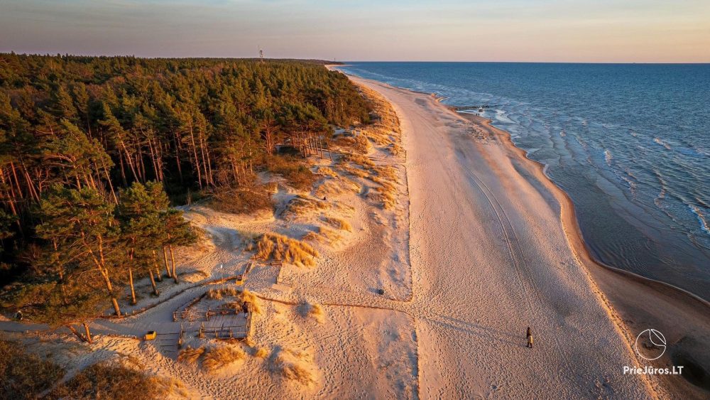 Apartment in the dunes w Połądze, w Kunigiskes