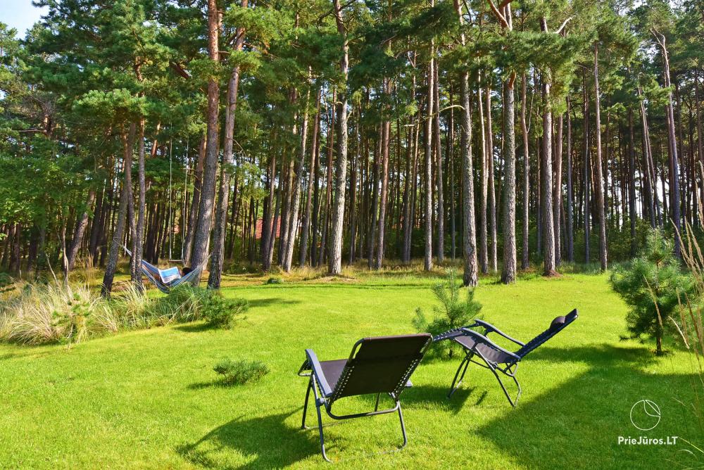 Šokančios Pušys - mieszkanie do wynajęcia w Preili
