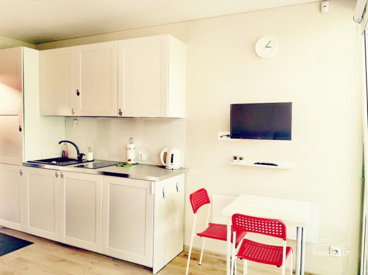 Przytulne apartamenty typu studio do wypoczynku w Mierzei Kurońskiej