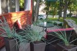 Apartament typu studio do wynajęcia w centrum Juodkrante, w pobliżu Zalewu Kurońskiego