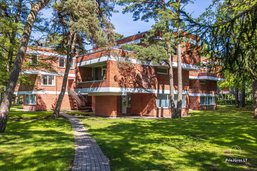 Zilvinelis - przestronne domki do wynajęcia w Połądze