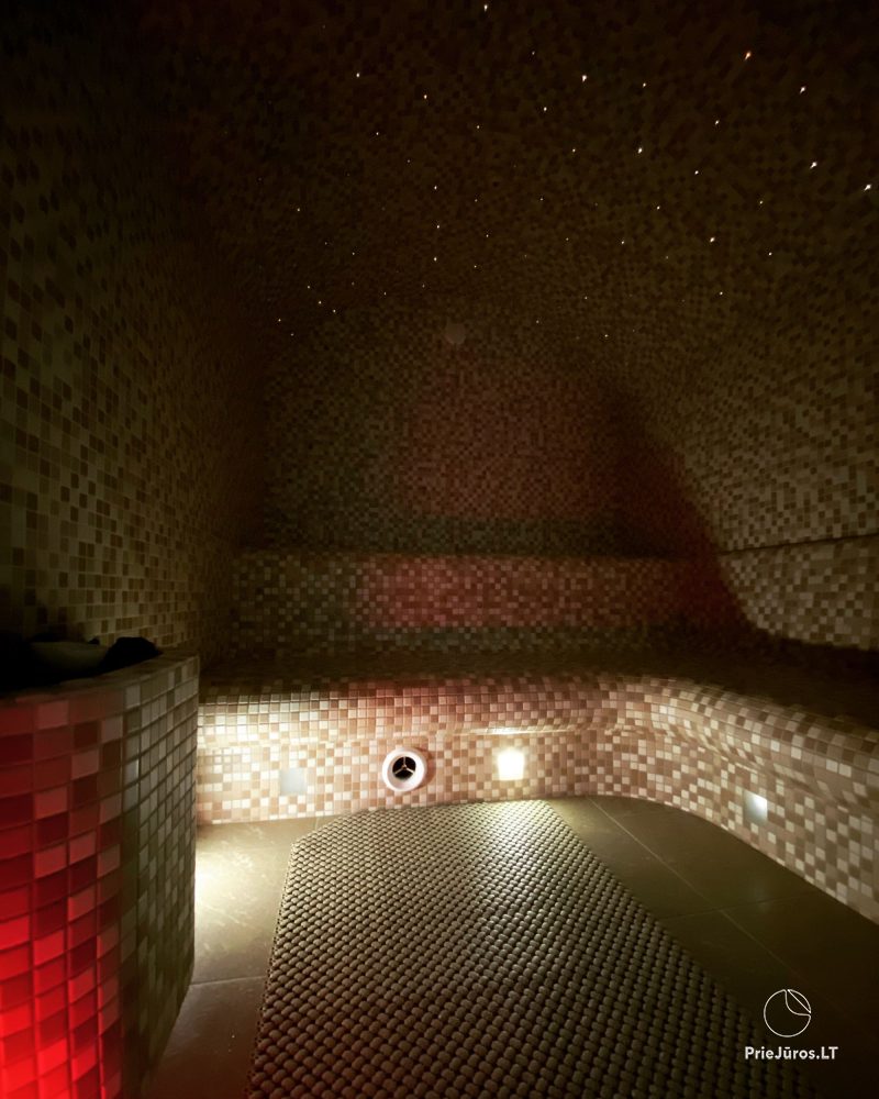 Przestronne apartamenty w otoczeniu przyrody: sauna / jakuzzi / SPA