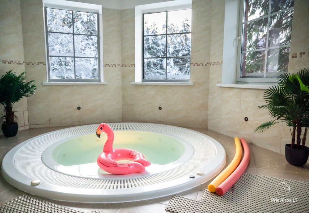 Przestronne apartamenty w otoczeniu przyrody: sauna / jakuzzi / SPA