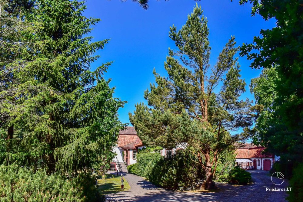 Przestronne apartamenty w otoczeniu przyrody: sauna / jakuzzi / SPA