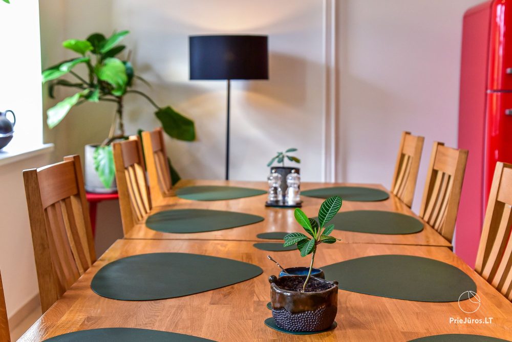 Przestronne apartamenty w otoczeniu przyrody: sauna / jakuzzi / SPA