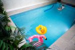 Przestronne apartamenty w otoczeniu przyrody: sauna / jakuzzi / SPA - 6