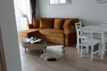 Dwupokojowe mieszkanie do wynajęcia w centrum Połągi - 2