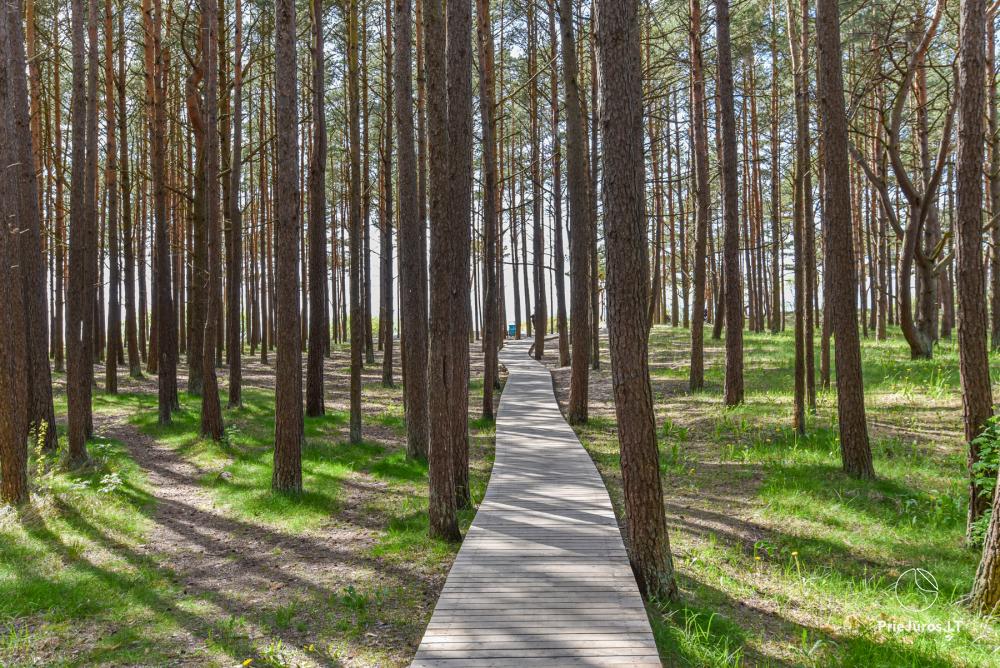 Seaside Getaway - Mieszkanie do wynajęcia w Kunigiskiai
