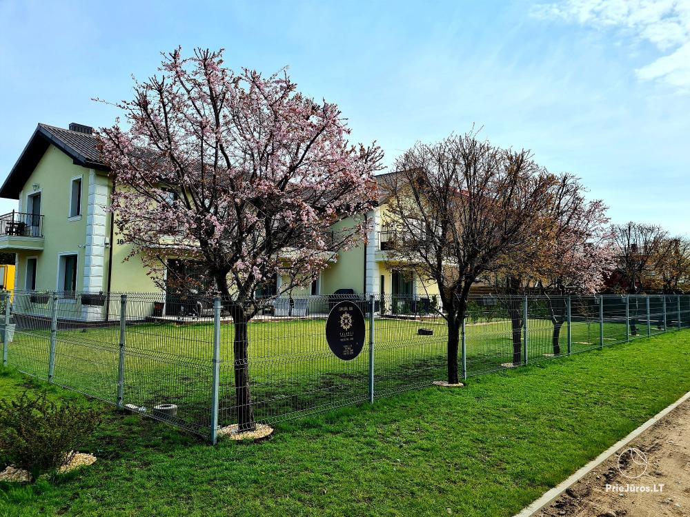 Mieszkanie do wynajęcia Sakura_INN Palanga