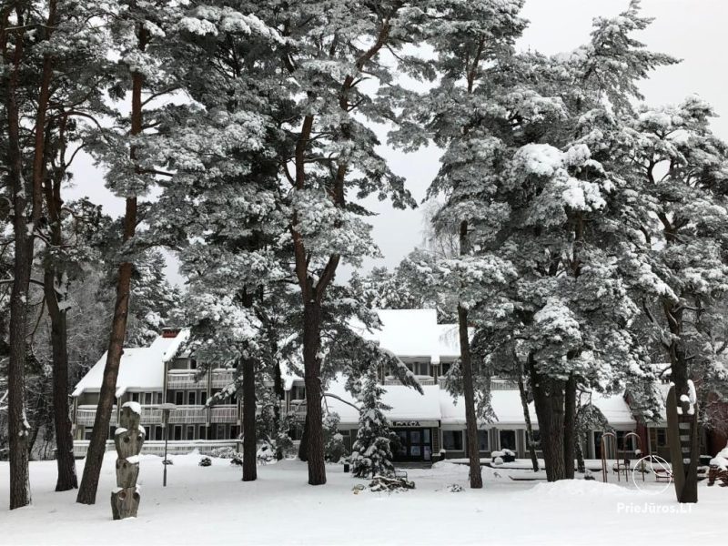 Pensjonat SKALVA w Nidzie: gdzie zalew spotyka się ze spokojem lasu sosnowego!