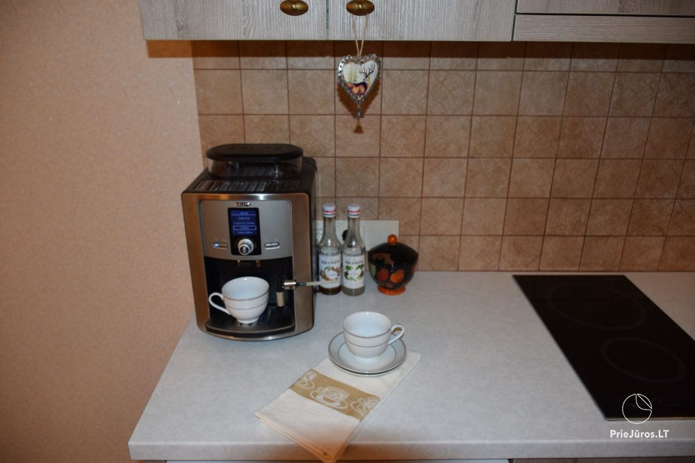 W centrum Nidy, „Prie Pušyno”, ul. Szvyturio. Dwa przytulne apartamenty typu studio