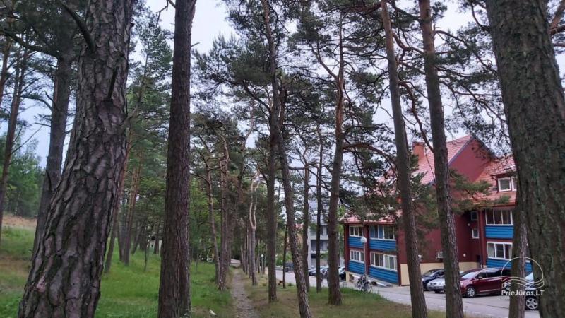 2 przytulne kawalerki do wynajęcia w centrum Nidy, ul. Švyturio „Prie Pušyno“