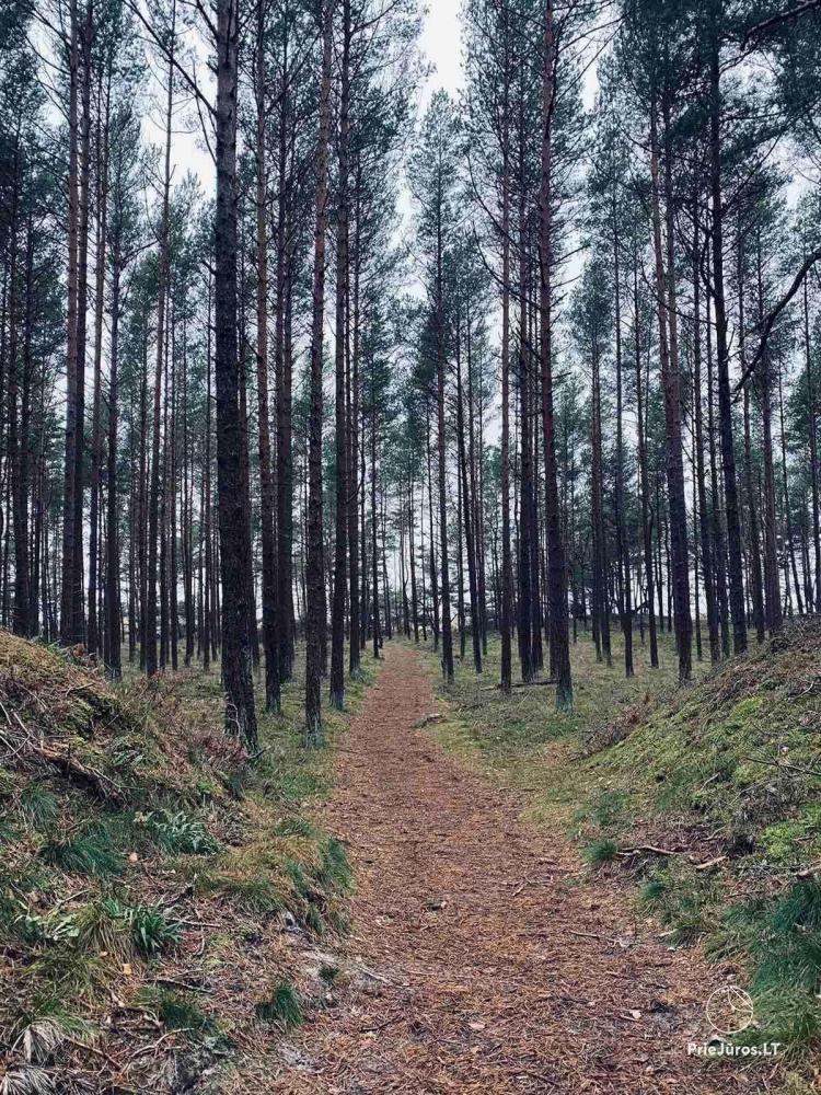 Tiek izīrēts dzīvoklis Mano Jura Palangā, KunigiškiaiApartament Mano Jura do wynajęcia w Połądze, w Kunigiskiai - 1