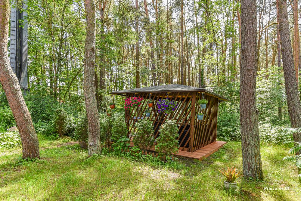 Apartamenty MATUL w Preila na Mierzei Kurońskiej, w pobliżu laguny i Morza Bałtyckiego