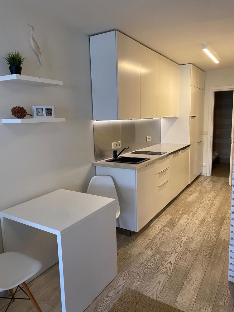 Przestronny apartament „Nidos Vilnele”