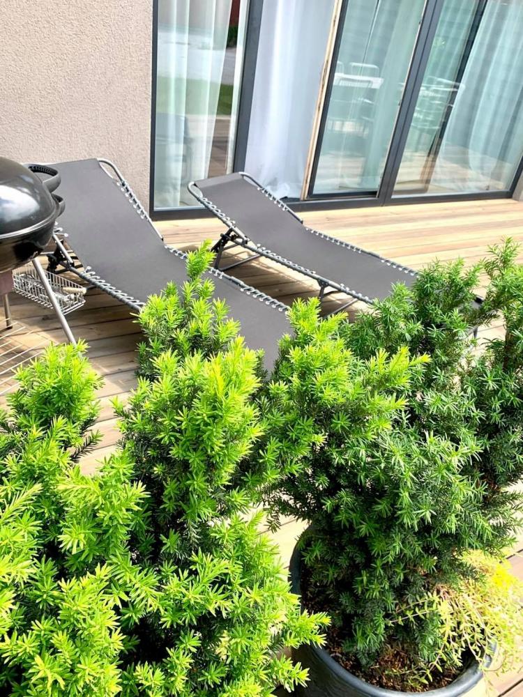 Sventoji family apartment