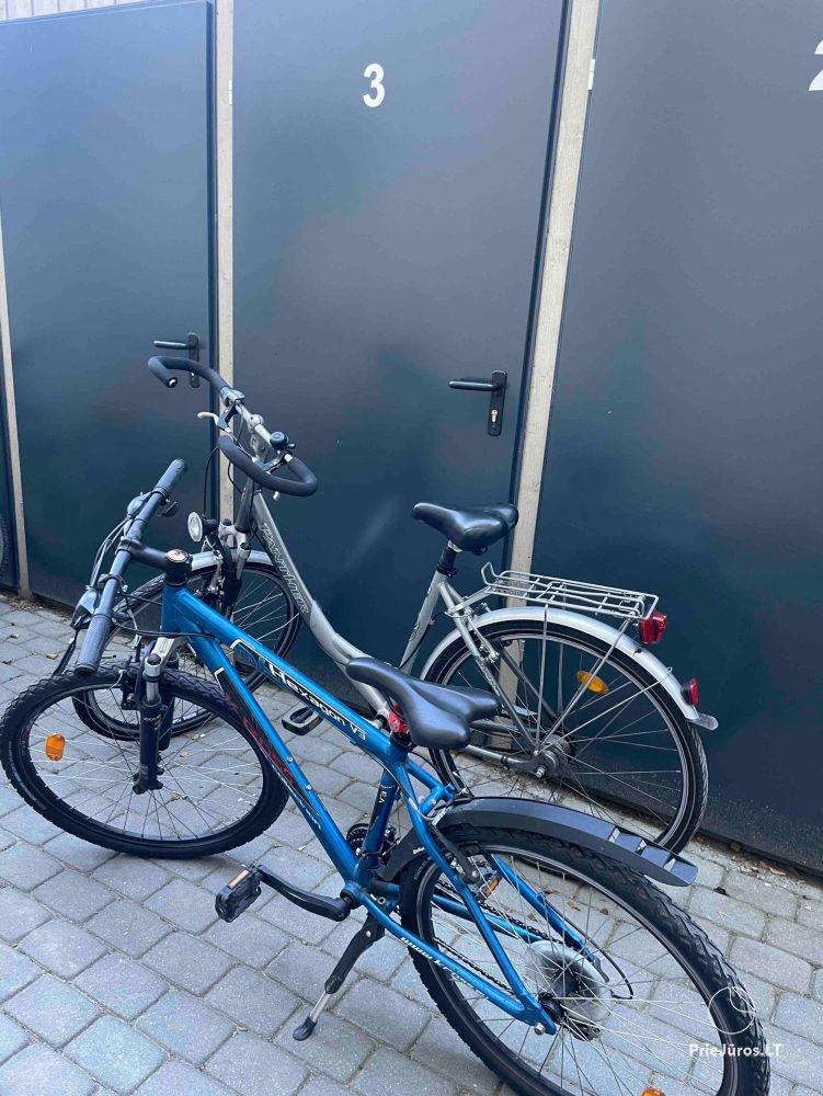 Apartamenty Laiminga diena w Kunigiškiai