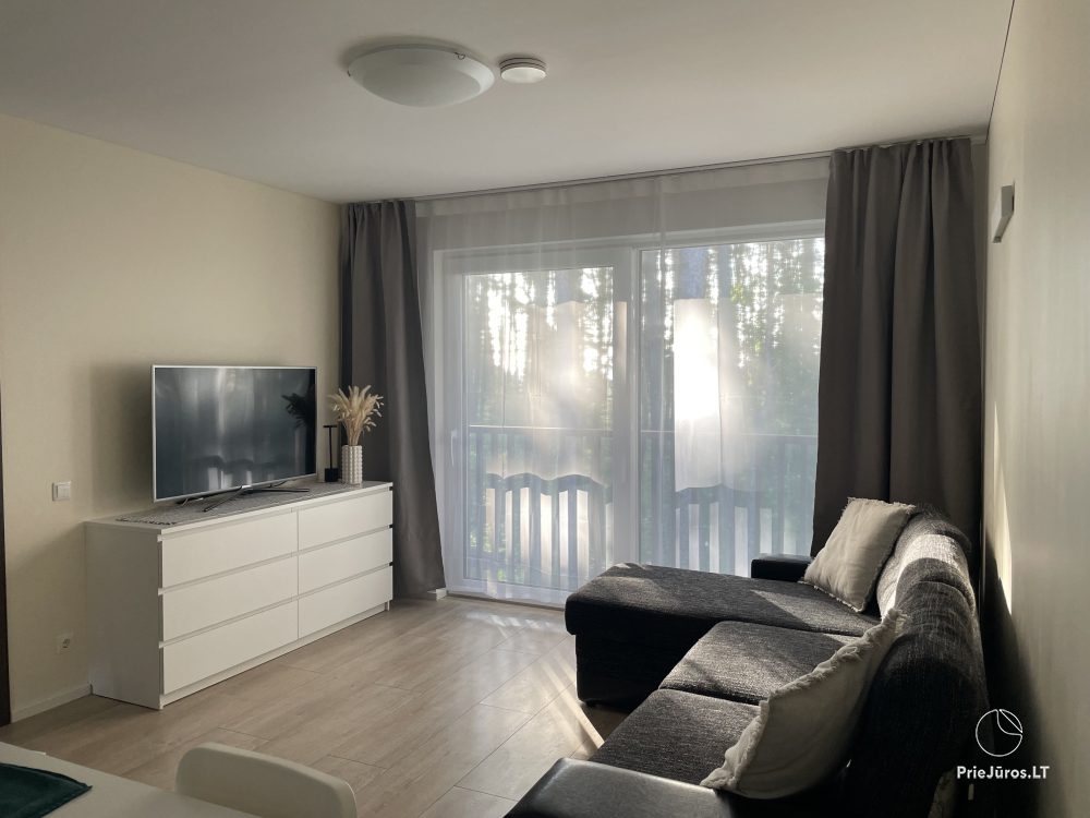 Apartamenty z widokiem na las sosnowy do wynajęcia w Preila Preila4You - 1